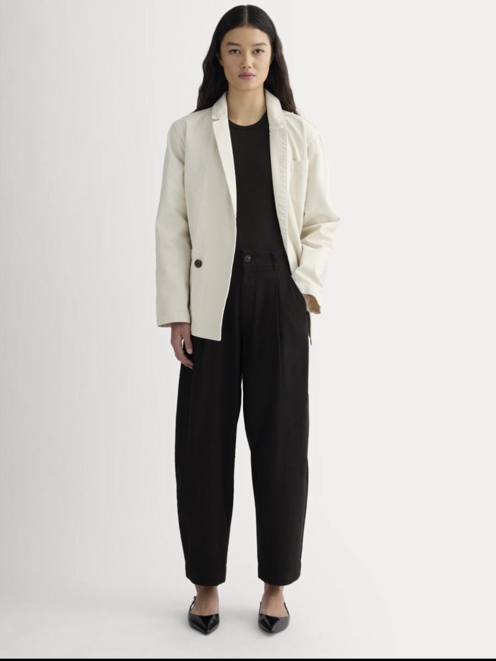 Everlane Women’s Black Linen Pleated Barrel Tapered Pants Size 6